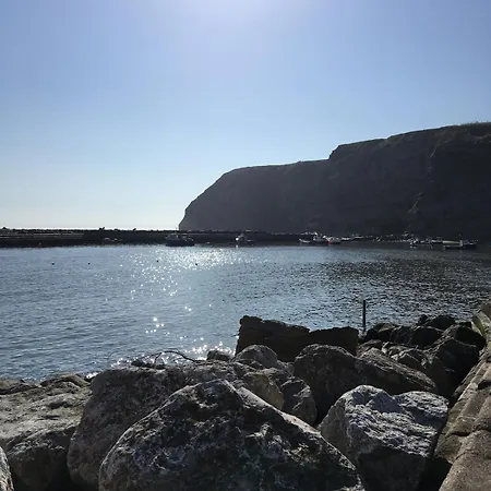 Rambling Rose Cottage, Near Staithes *