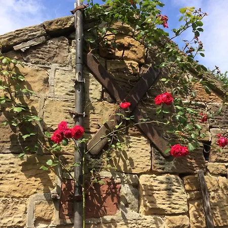 Rambling Rose Cottage, Near Staithes *