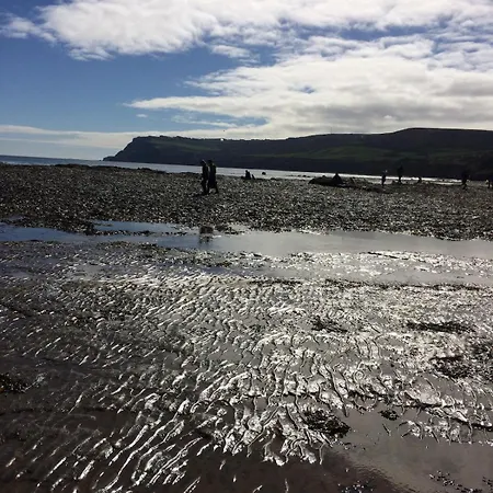 Rambling Rose Cottage, Near Staithes Сasa de vacaciones Skinningrove